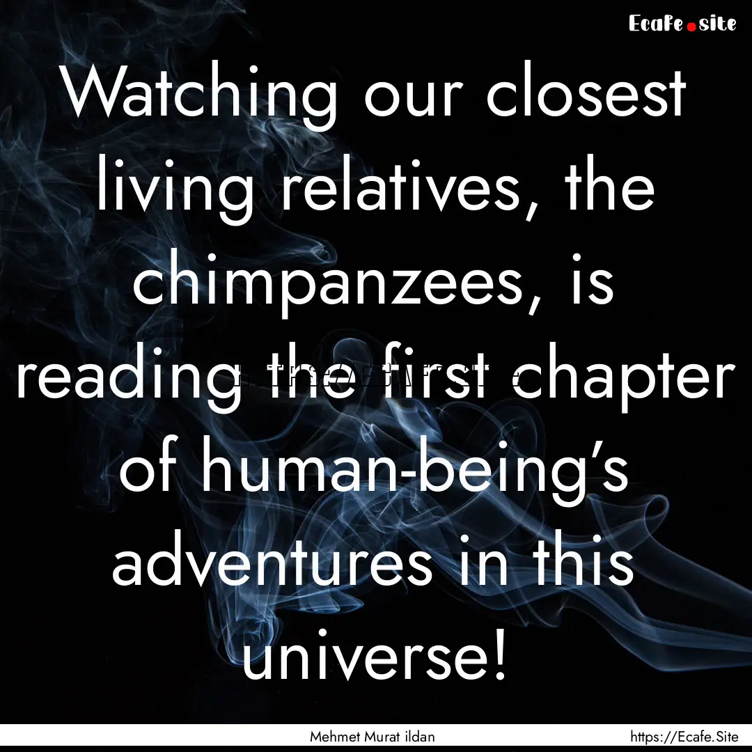 Watching our closest living relatives, the.... : Quote by Mehmet Murat ildan