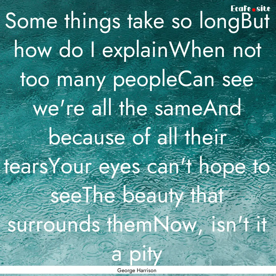 Some things take so longBut how do I explainWhen.... : Quote by George Harrison