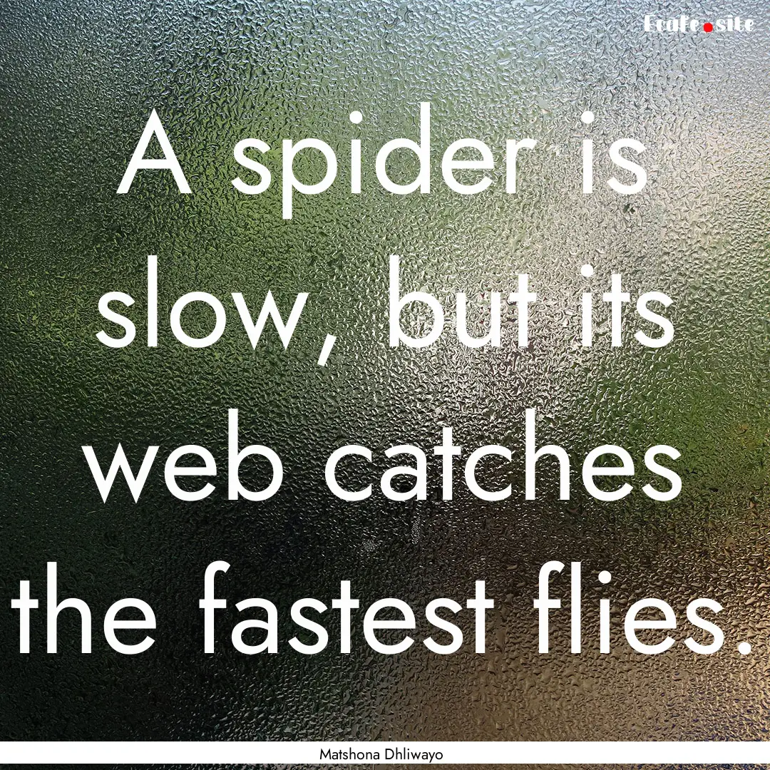 A spider is slow, but its web catches the.... : Quote by Matshona Dhliwayo