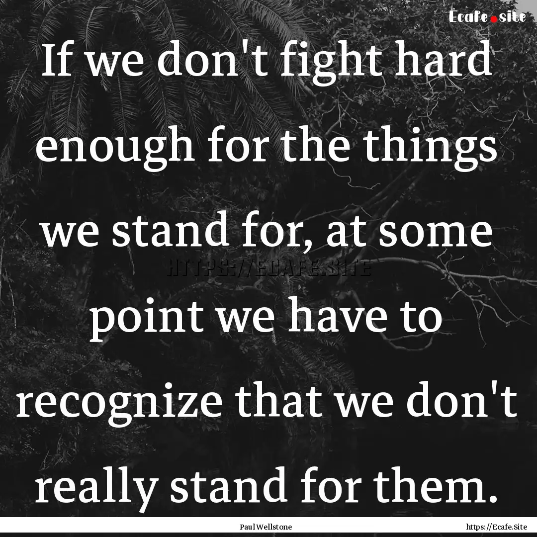 If we don't fight hard enough for the things.... : Quote by Paul Wellstone