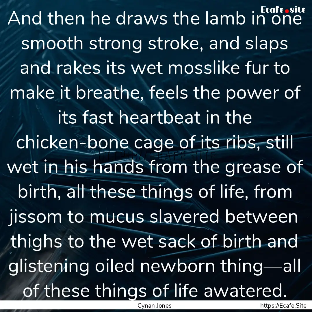 And then he draws the lamb in one smooth.... : Quote by Cynan Jones