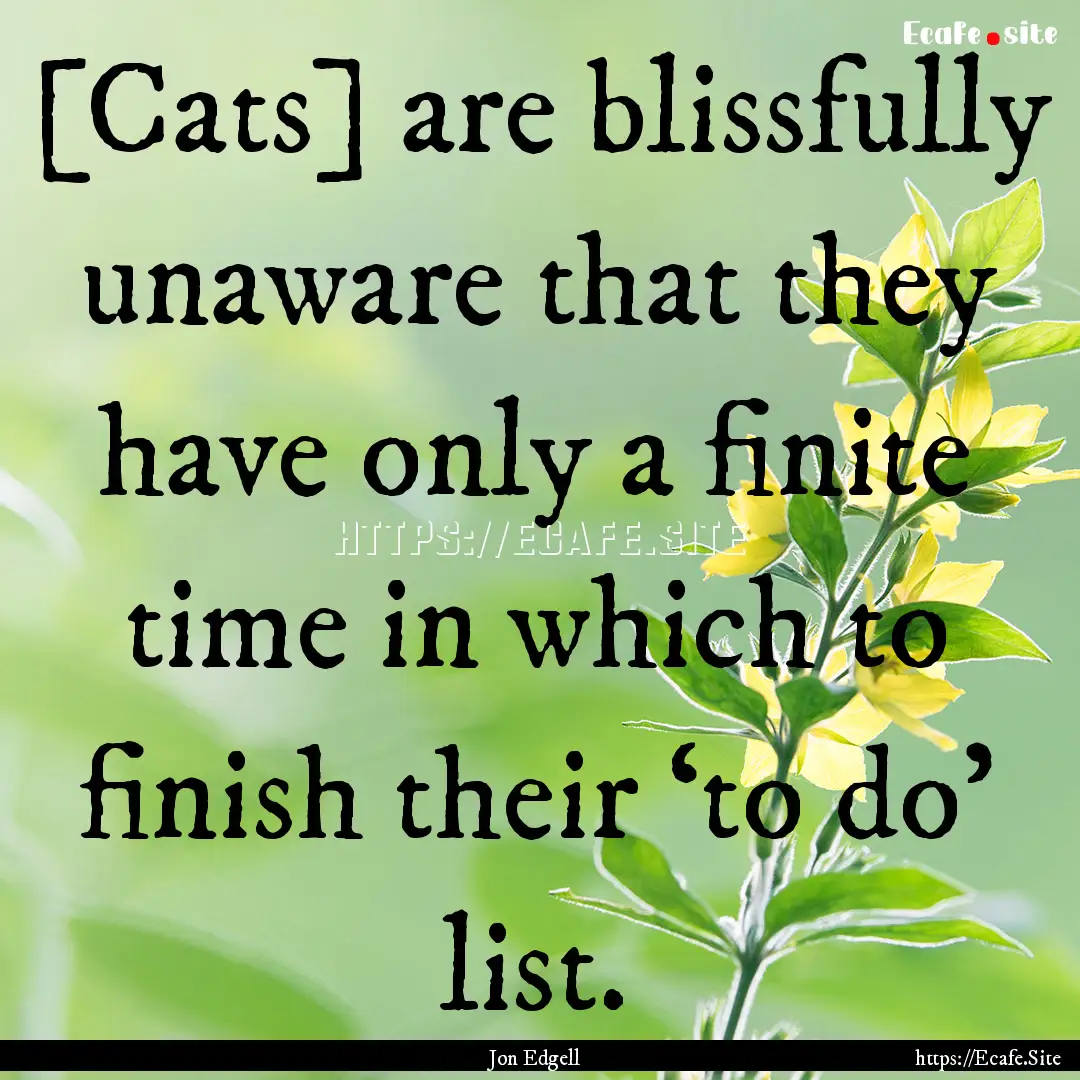 [Cats] are blissfully unaware that they have.... : Quote by Jon Edgell