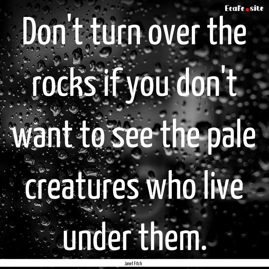 Don't turn over the rocks if you don't want.... : Quote by Janet Fitch