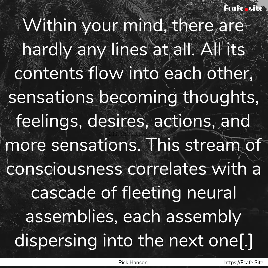 Within your mind, there are hardly any lines.... : Quote by Rick Hanson