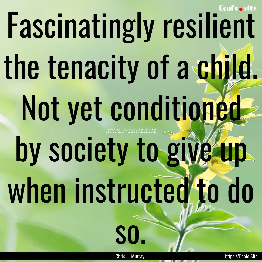 Fascinatingly resilient the tenacity of a.... : Quote by Chris Murray