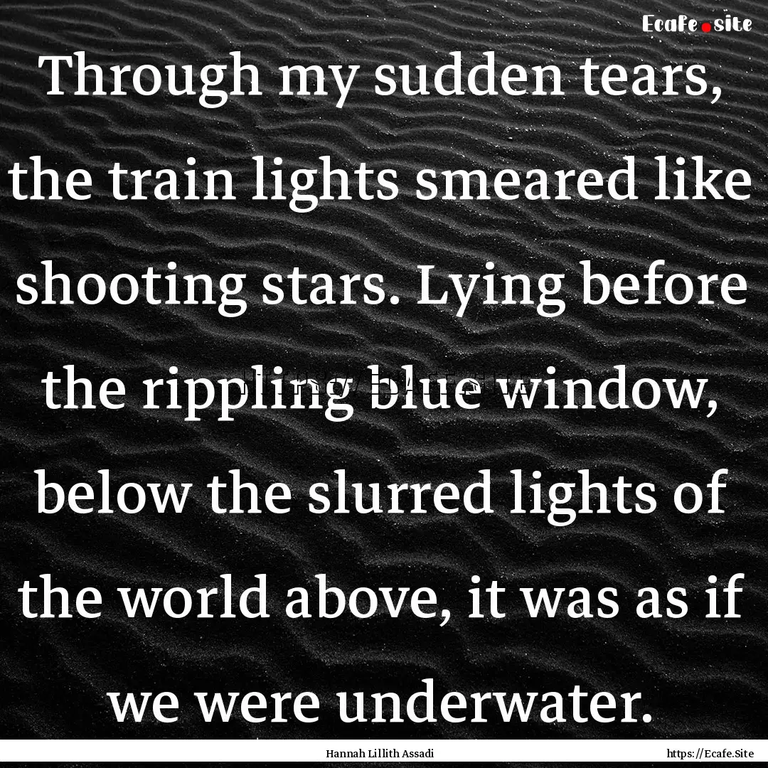 Through my sudden tears, the train lights.... : Quote by Hannah Lillith Assadi