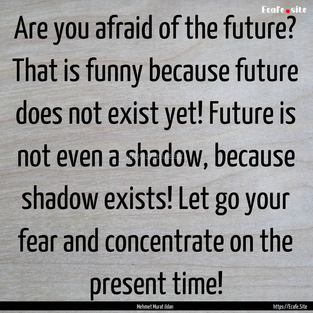 Are you afraid of the future? That is funny.... : Quote by Mehmet Murat ildan