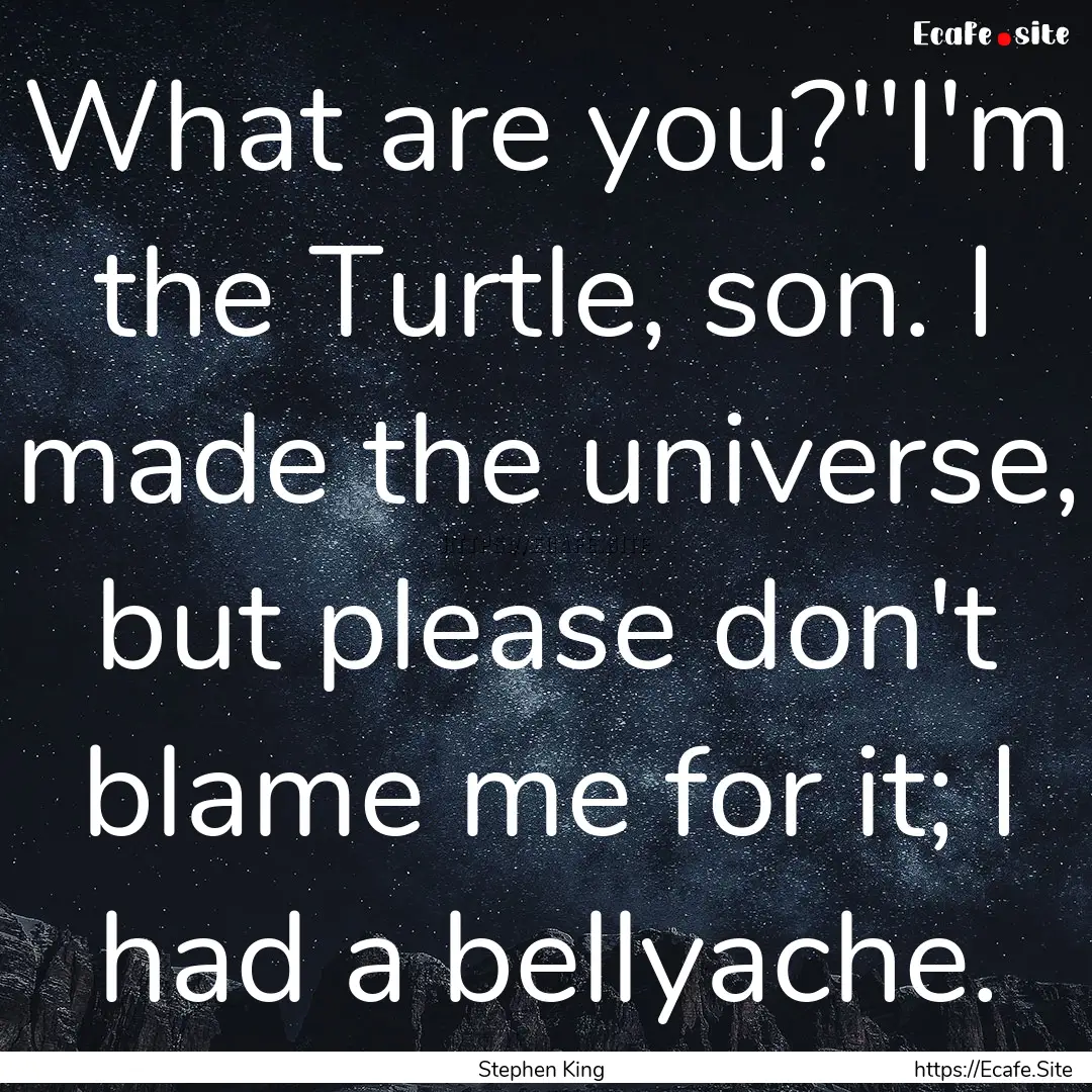 What are you?''I'm the Turtle, son. I made.... : Quote by Stephen King