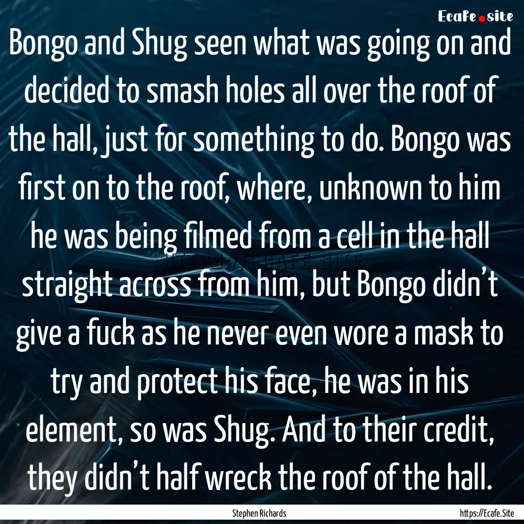 Bongo and Shug seen what was going on and.... : Quote by Stephen Richards