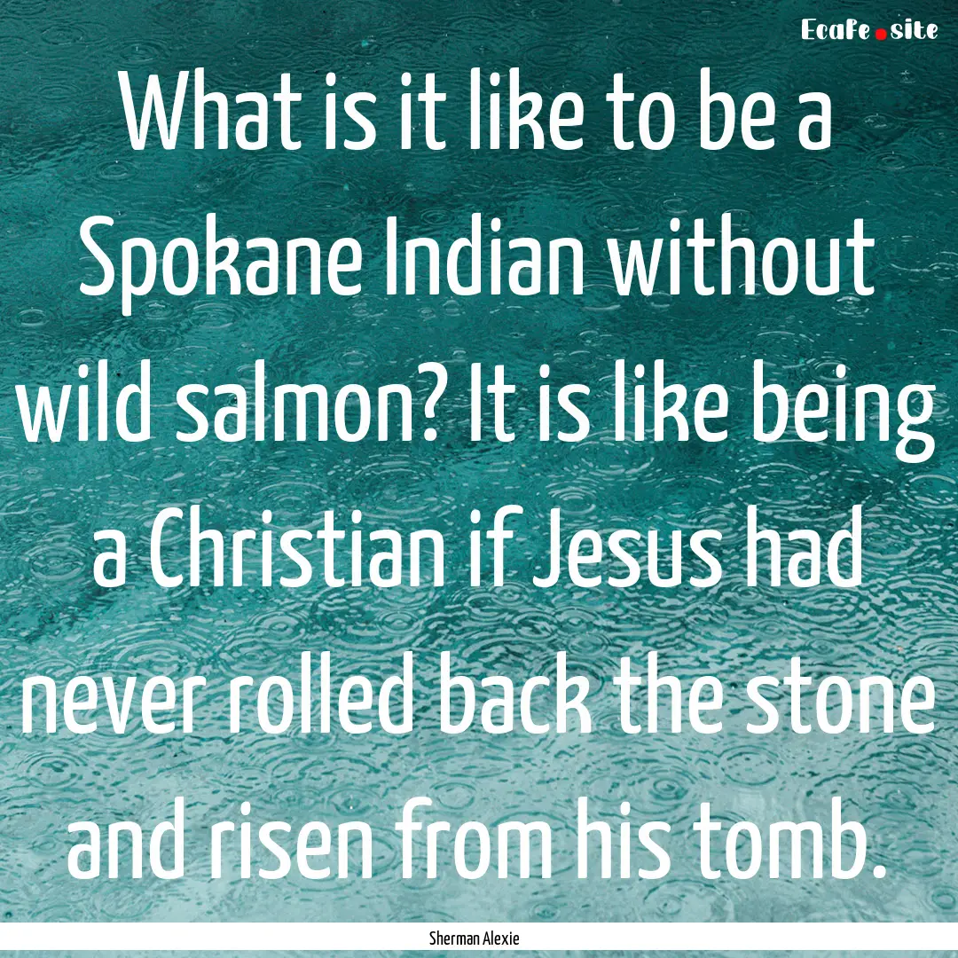 What is it like to be a Spokane Indian without.... : Quote by Sherman Alexie