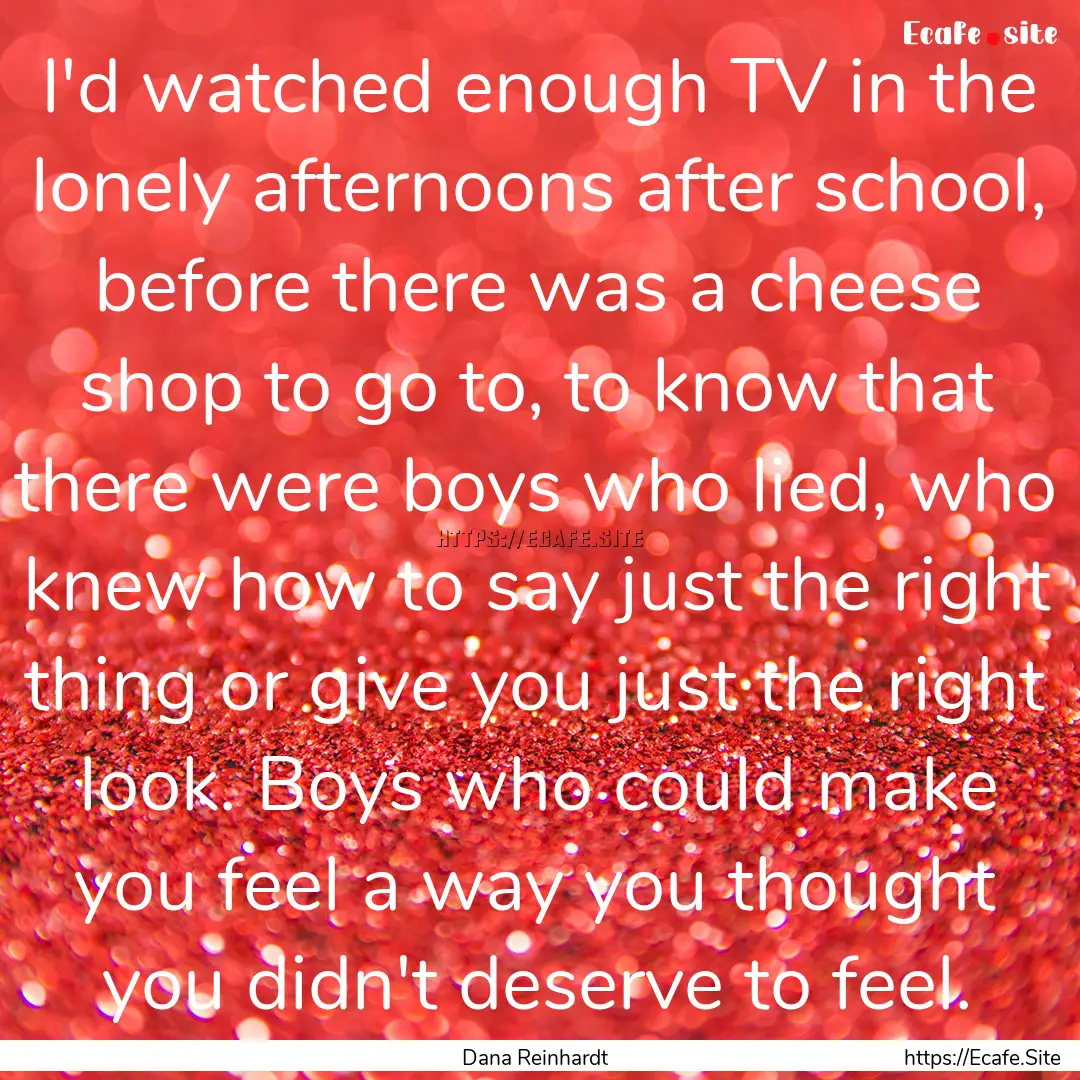 I'd watched enough TV in the lonely afternoons.... : Quote by Dana Reinhardt