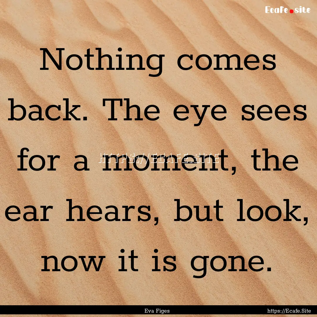 Nothing comes back. The eye sees for a moment,.... : Quote by Eva Figes