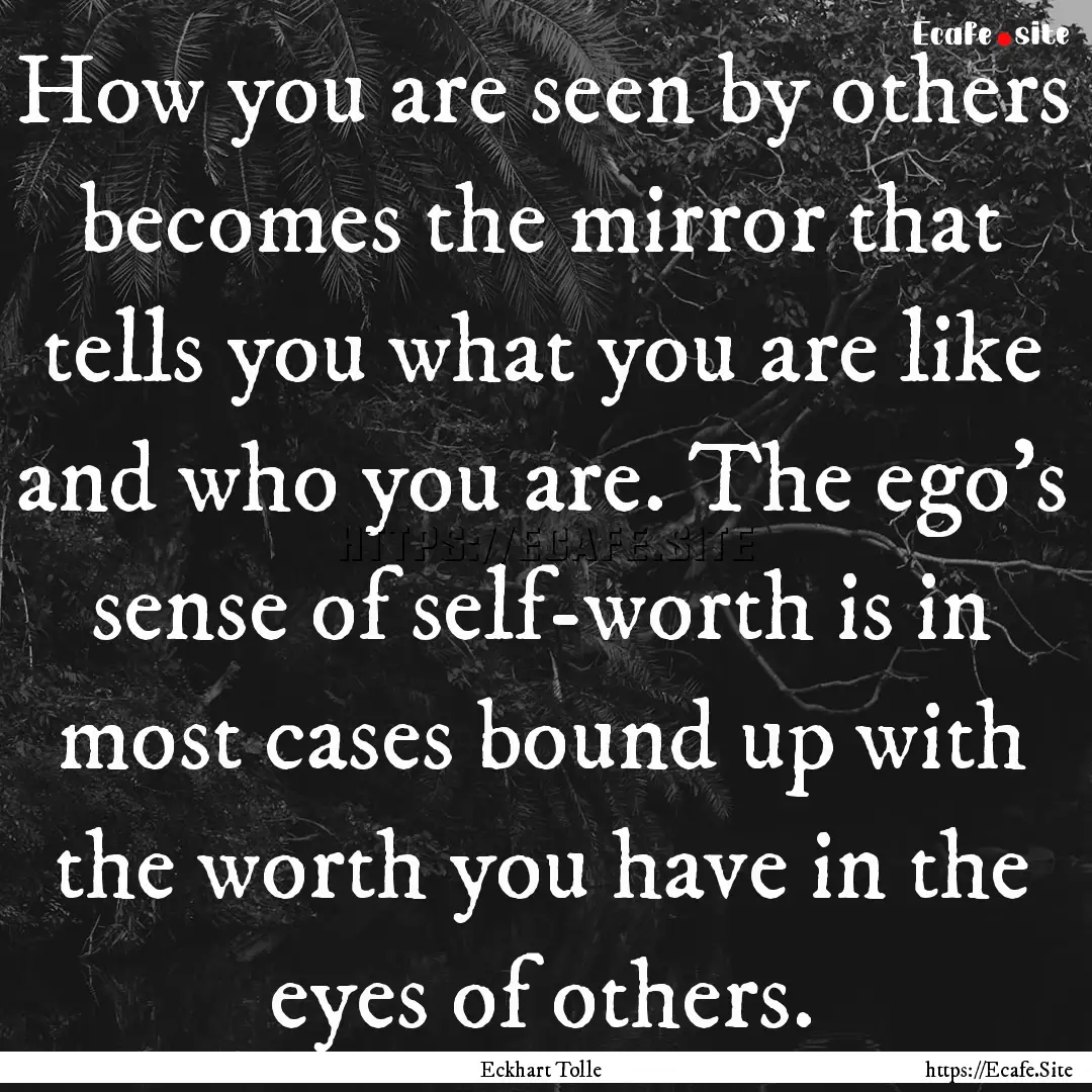 How you are seen by others becomes the mirror.... : Quote by Eckhart Tolle