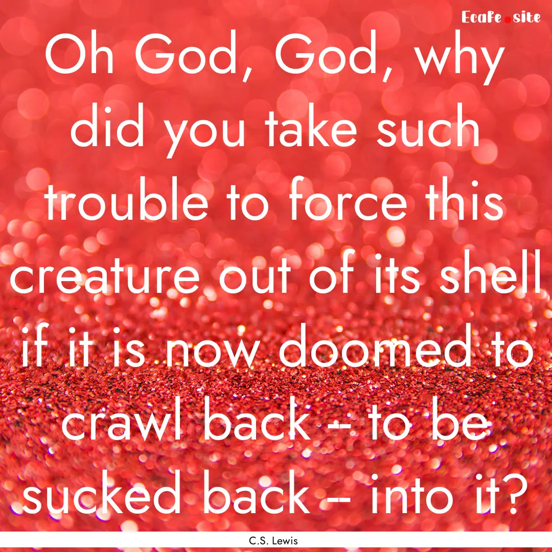 Oh God, God, why did you take such trouble.... : Quote by C.S. Lewis