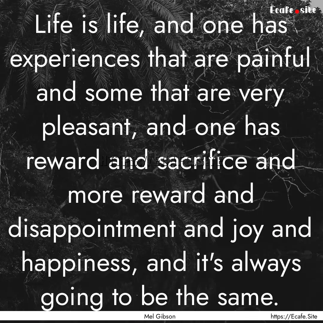 Life is life, and one has experiences that.... : Quote by Mel Gibson