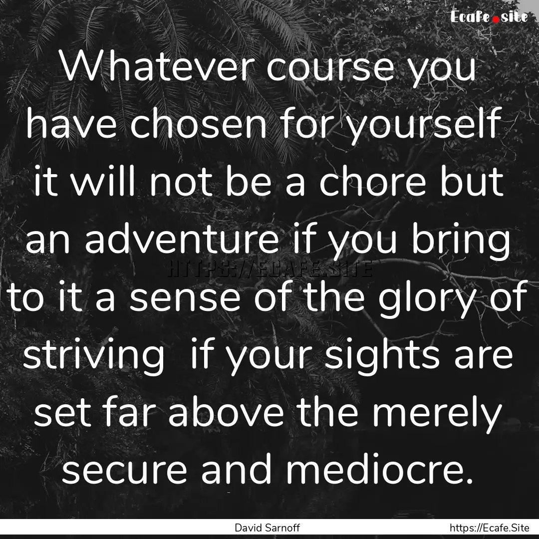 Whatever course you have chosen for yourself.... : Quote by David Sarnoff