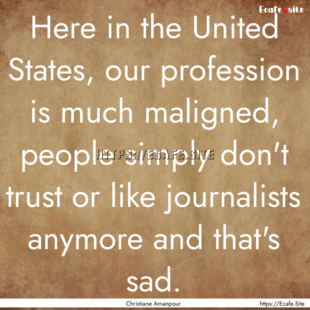 Here in the United States, our profession.... : Quote by Christiane Amanpour