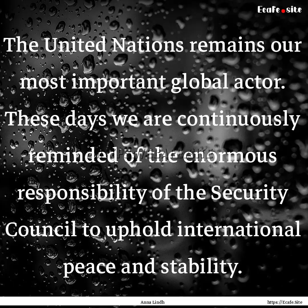 The United Nations remains our most important.... : Quote by Anna Lindh