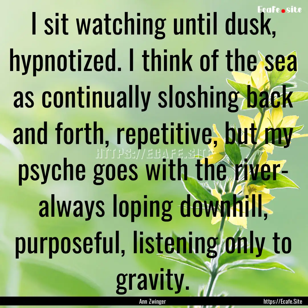 I sit watching until dusk, hypnotized. I.... : Quote by Ann Zwinger