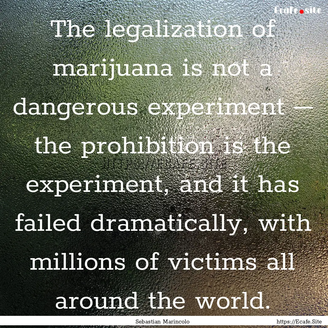 The legalization of marijuana is not a dangerous.... : Quote by Sebastian Marincolo