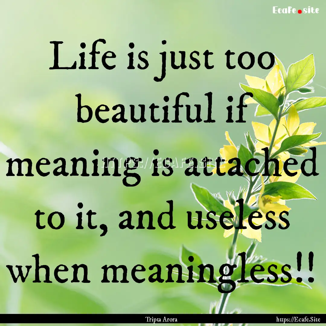 Life is just too beautiful if meaning is.... : Quote by Tripta Arora