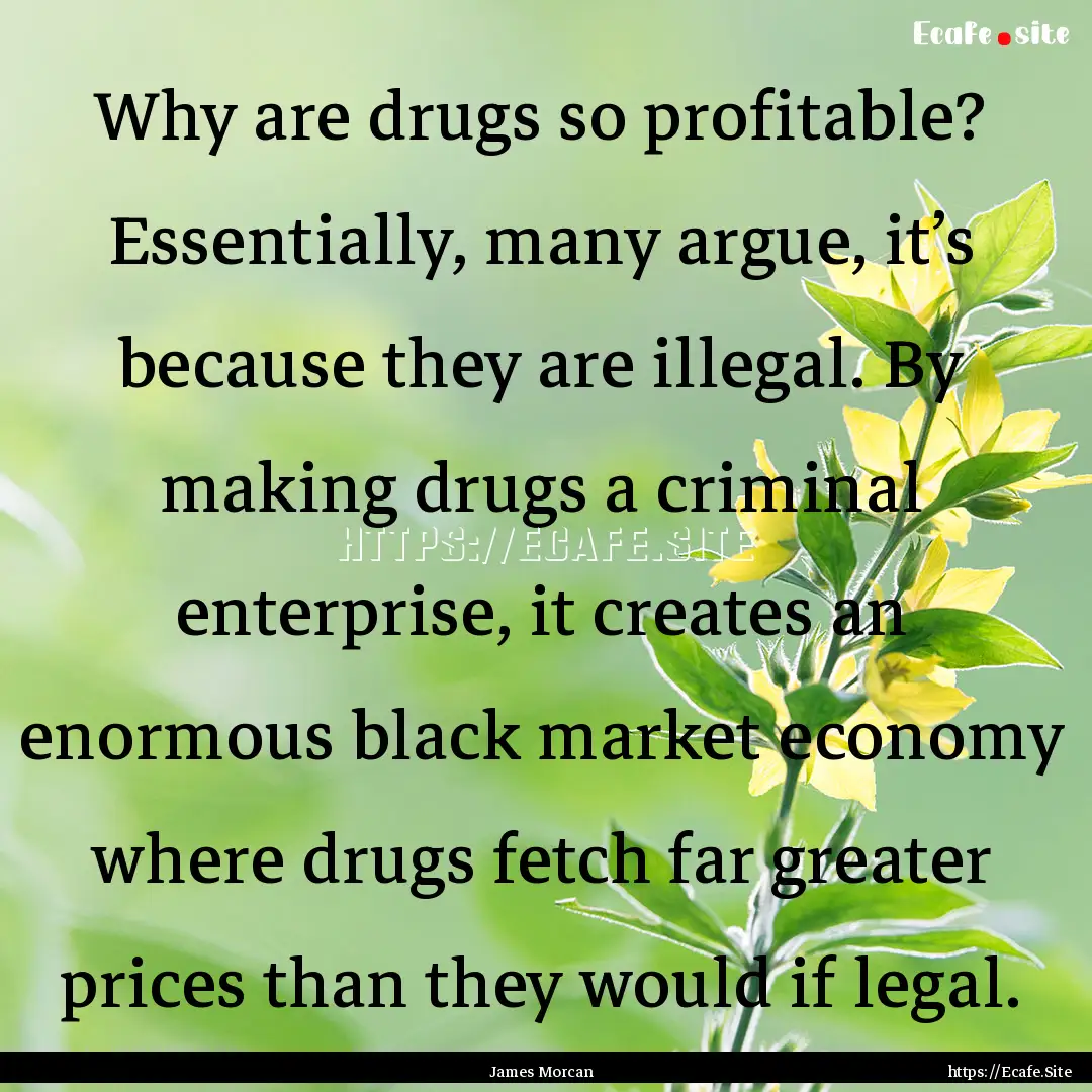 Why are drugs so profitable? Essentially,.... : Quote by James Morcan