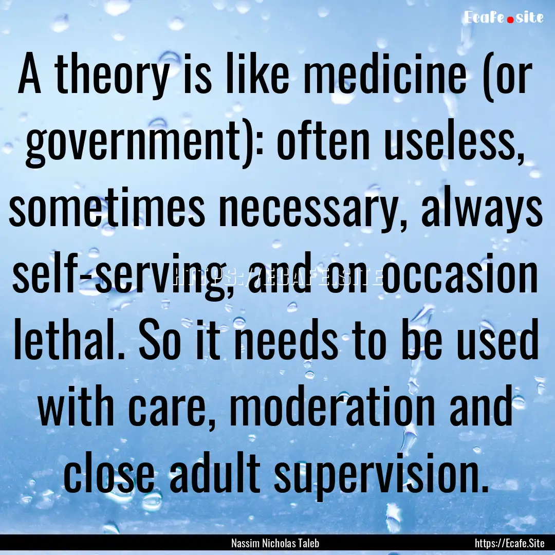 A theory is like medicine (or government):.... : Quote by Nassim Nicholas Taleb