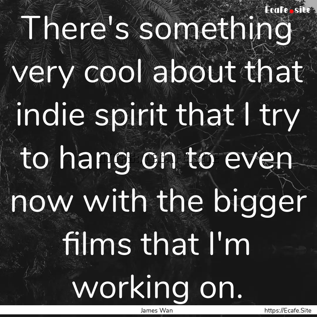 There's something very cool about that indie.... : Quote by James Wan