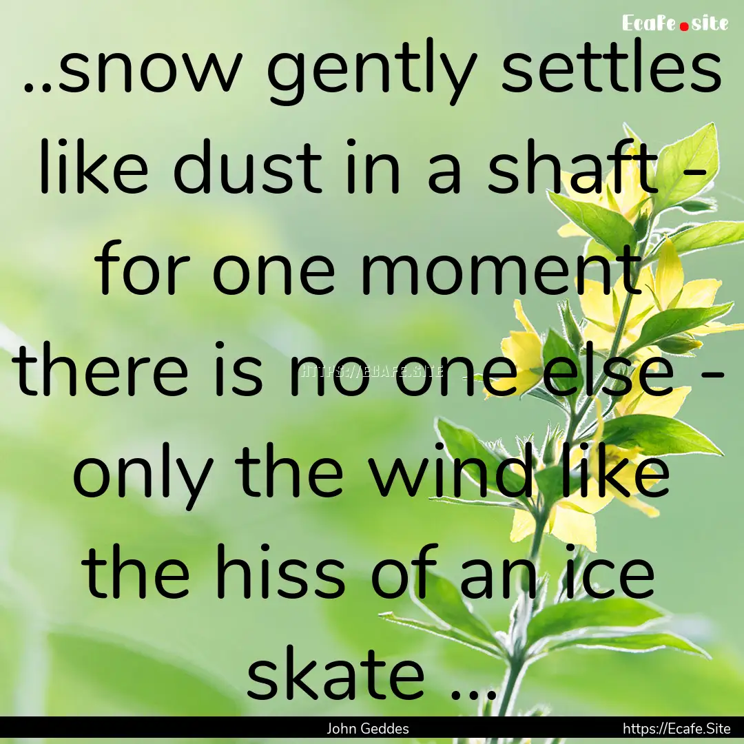 ..snow gently settles like dust in a shaft.... : Quote by John Geddes