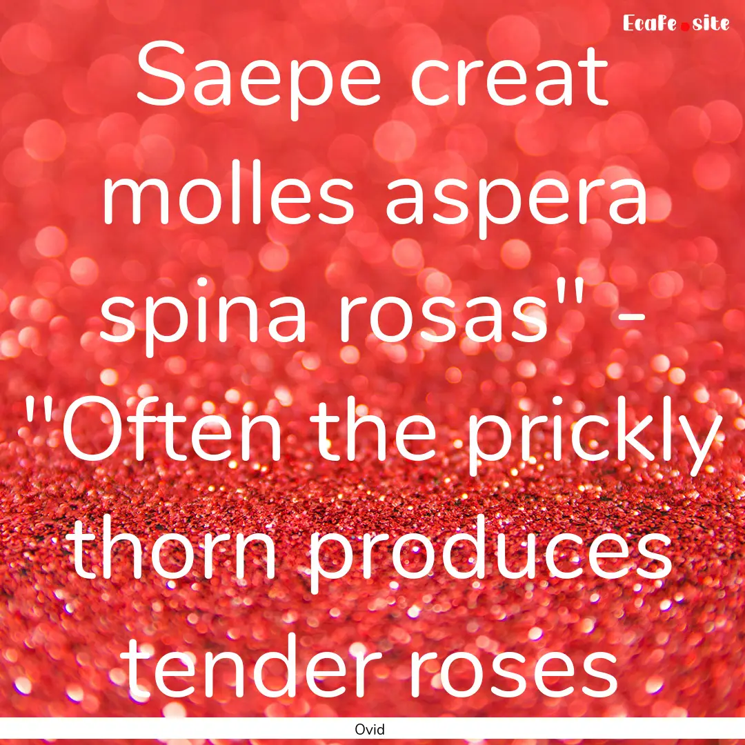 Saepe creat molles aspera spina rosas