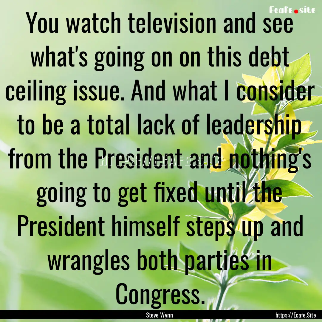 You watch television and see what's going.... : Quote by Steve Wynn