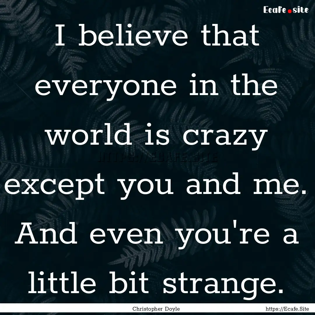 I believe that everyone in the world is crazy.... : Quote by Christopher Doyle