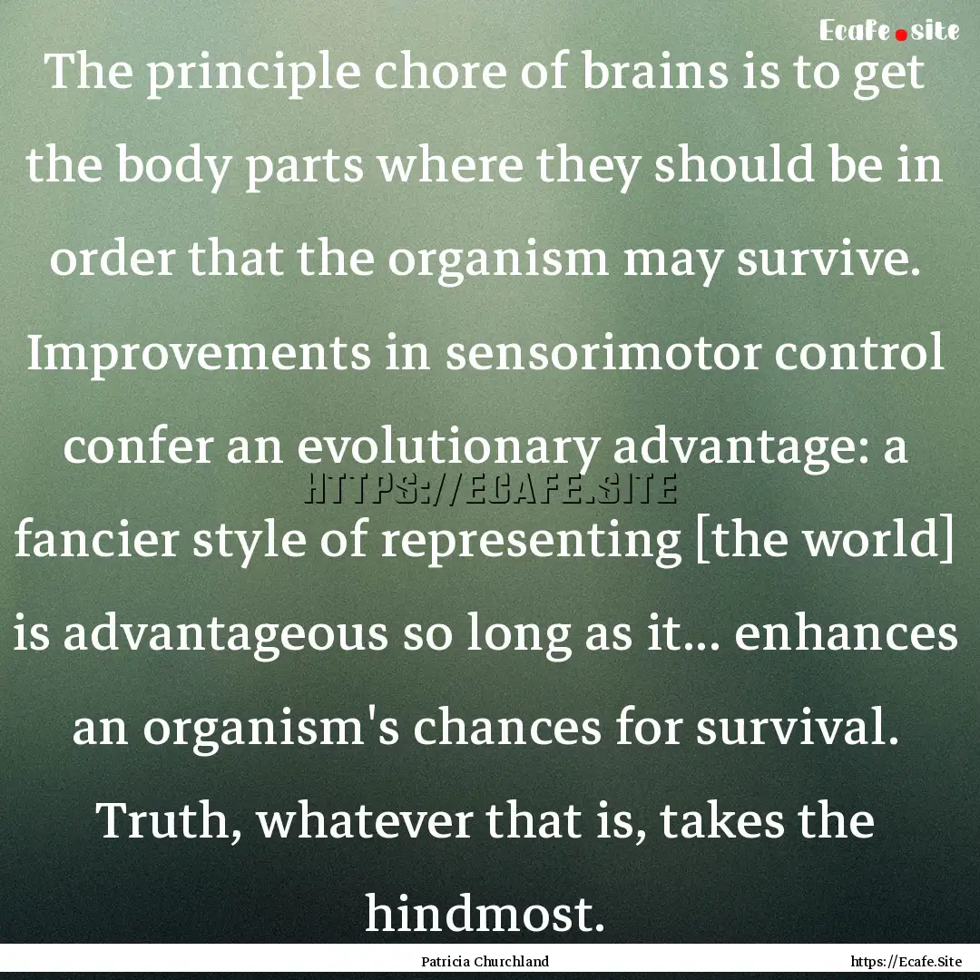 The principle chore of brains is to get the.... : Quote by Patricia Churchland