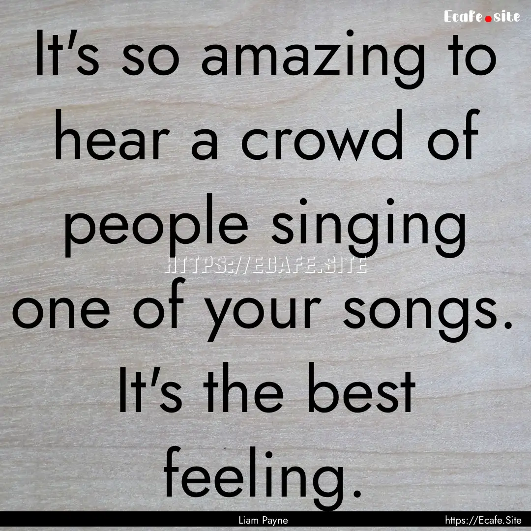 It's so amazing to hear a crowd of people.... : Quote by Liam Payne