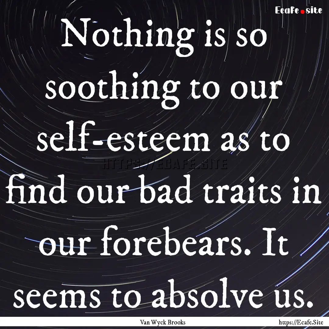 Nothing is so soothing to our self-esteem.... : Quote by Van Wyck Brooks