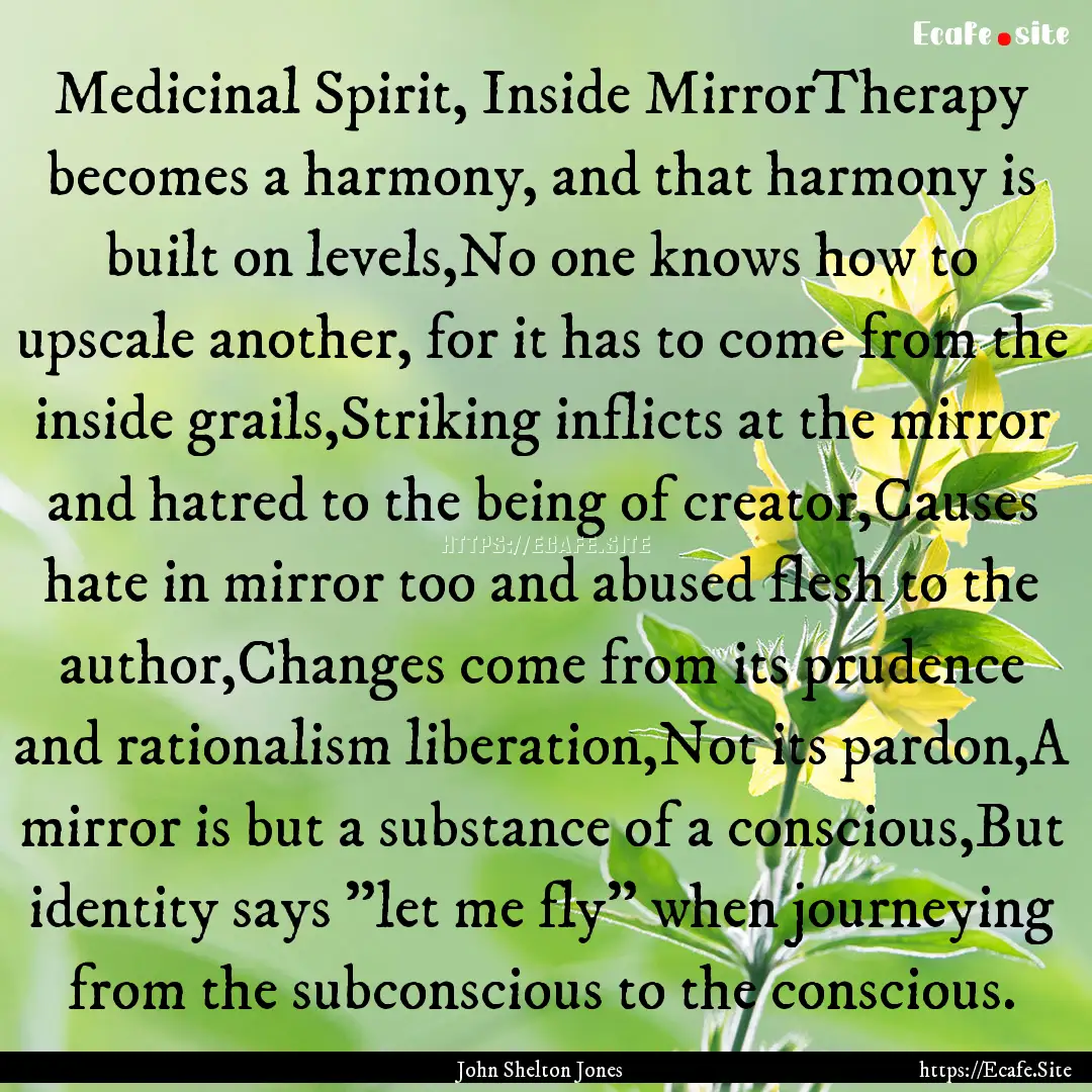 Medicinal Spirit, Inside MirrorTherapy becomes.... : Quote by John Shelton Jones