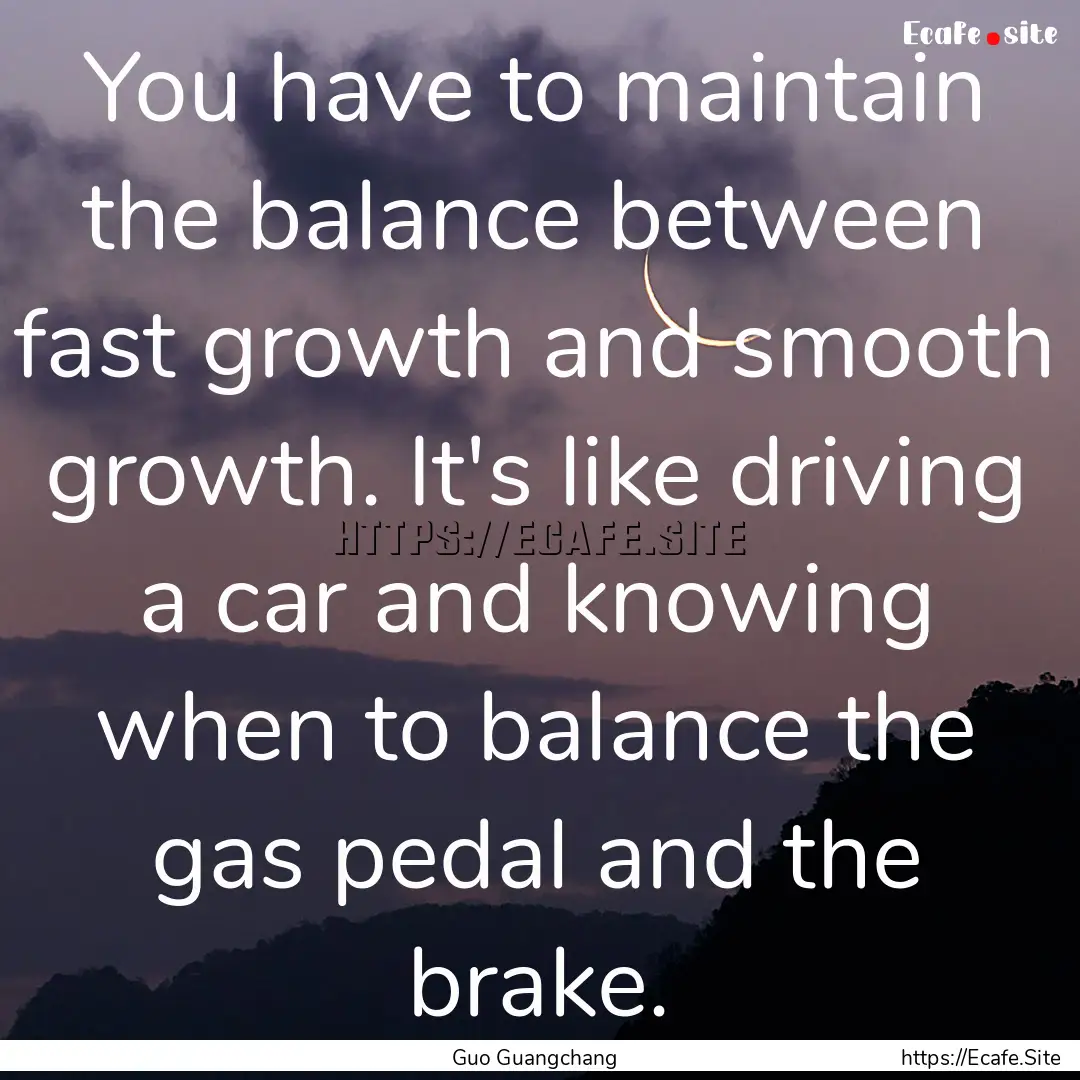 You have to maintain the balance between.... : Quote by Guo Guangchang