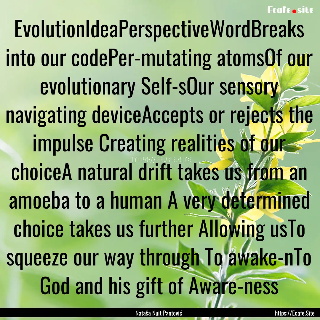 EvolutionIdeaPerspectiveWordBreaks into our.... : Quote by Nataša Nuit Pantović