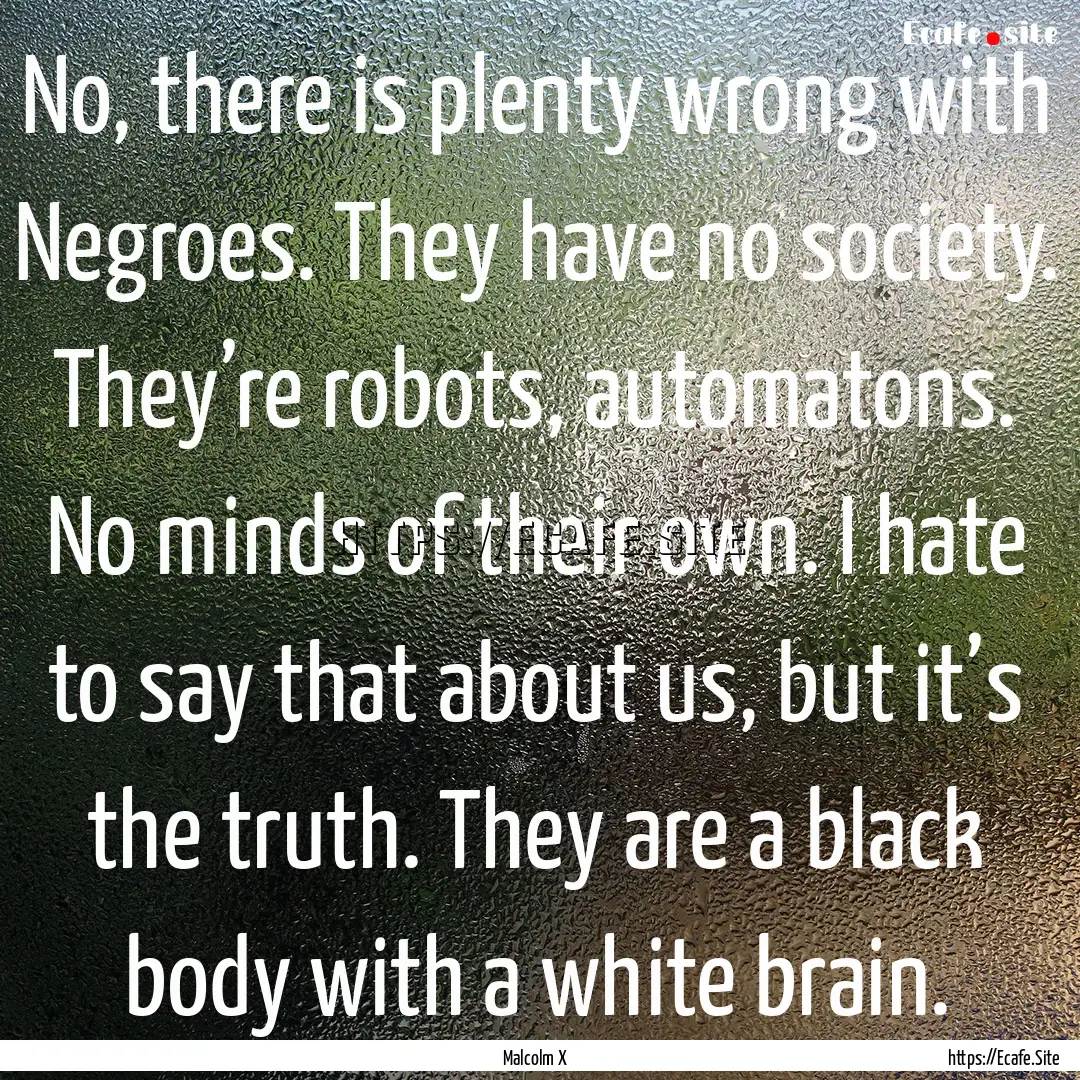 No, there is plenty wrong with Negroes. They.... : Quote by Malcolm X