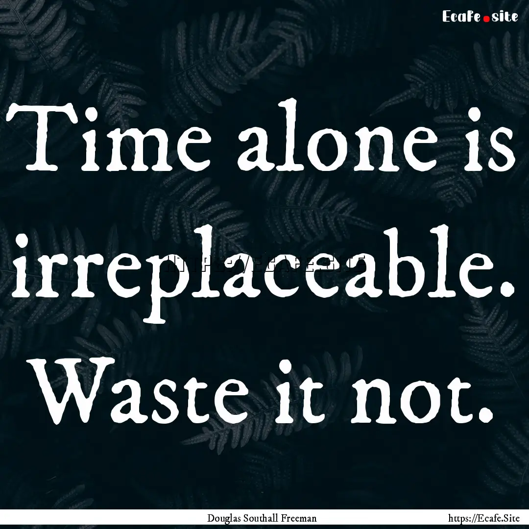 Time alone is irreplaceable. Waste it not..... : Quote by Douglas Southall Freeman