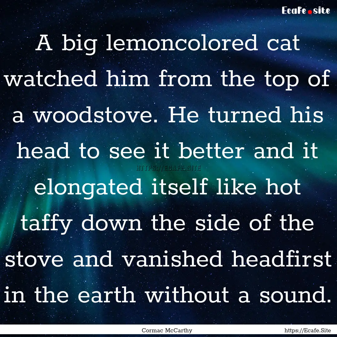 A big lemoncolored cat watched him from the.... : Quote by Cormac McCarthy