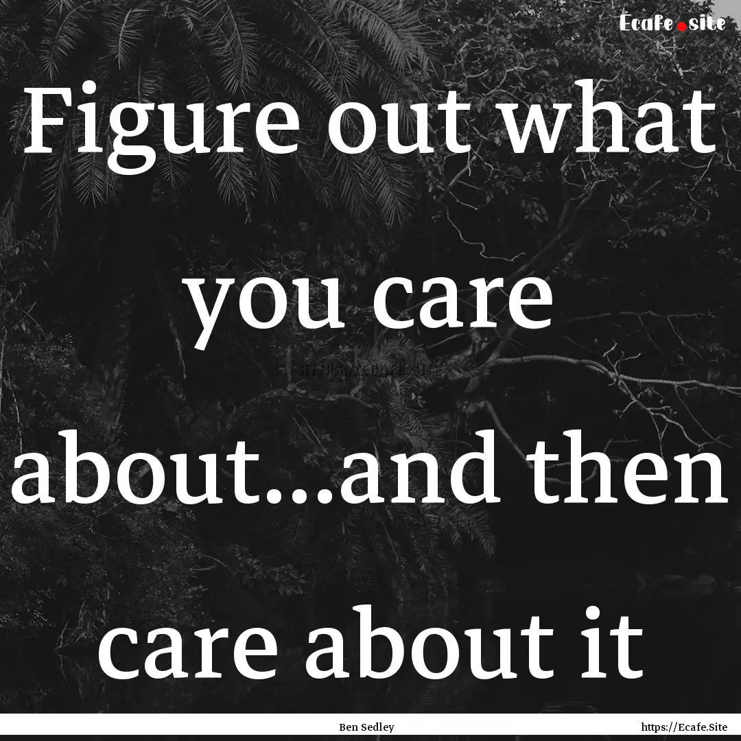 Figure out what you care about...and then.... : Quote by Ben Sedley