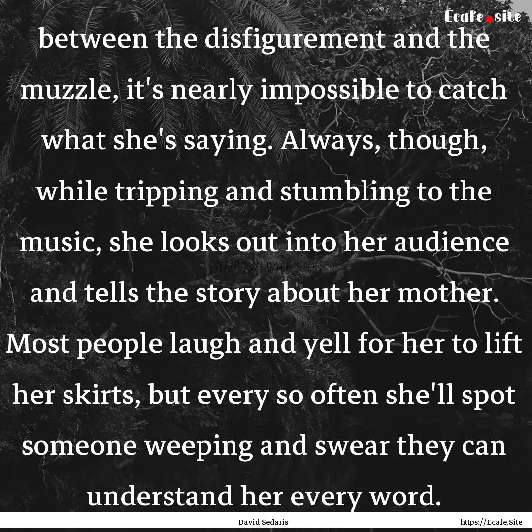 between the disfigurement and the muzzle,.... : Quote by David Sedaris