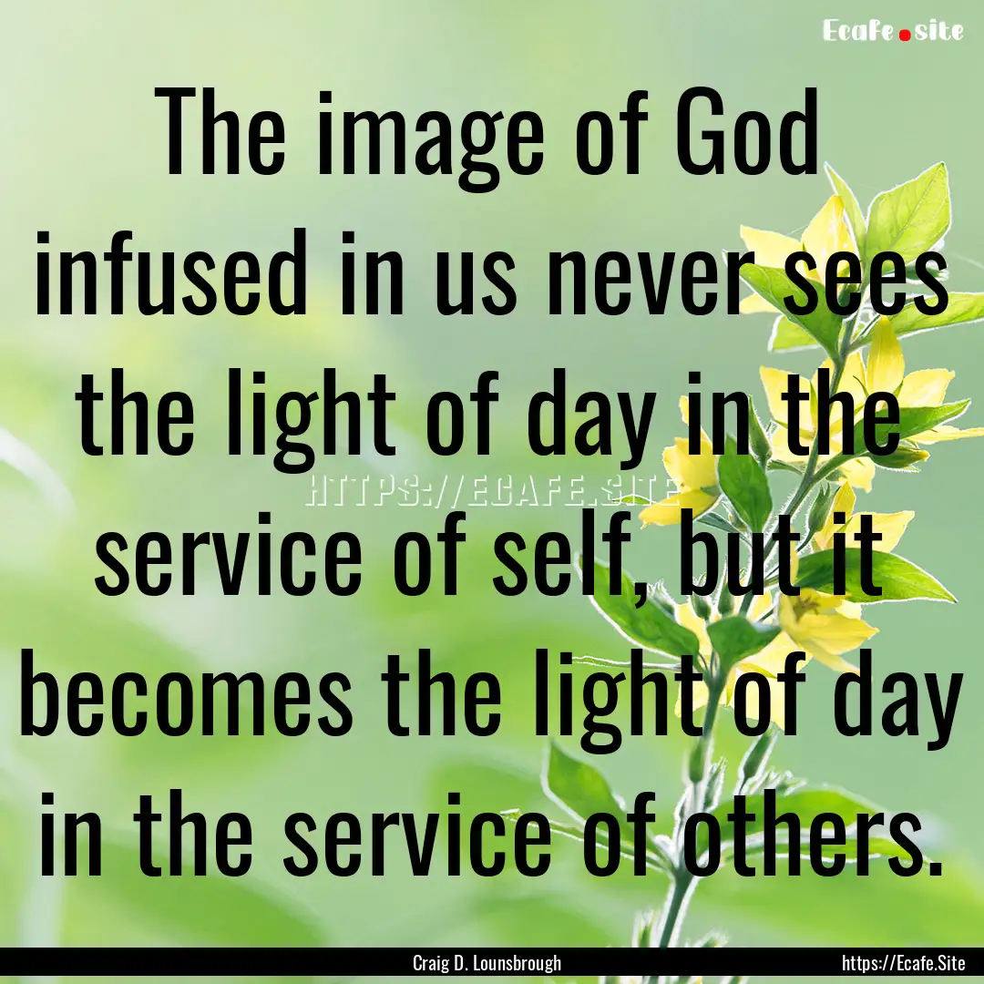 The image of God infused in us never sees.... : Quote by Craig D. Lounsbrough