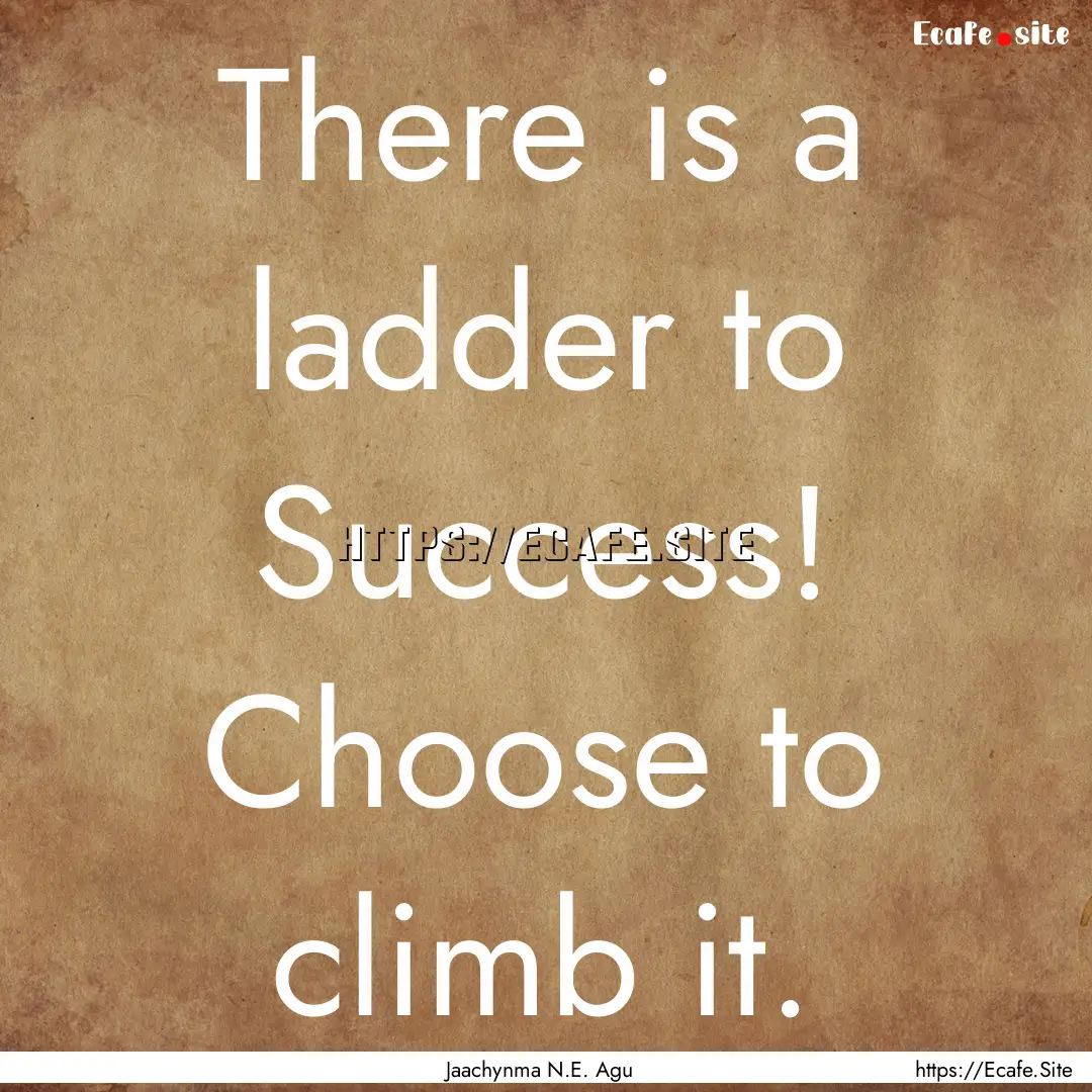 There is a ladder to Success! Choose to climb.... : Quote by Jaachynma N.E. Agu