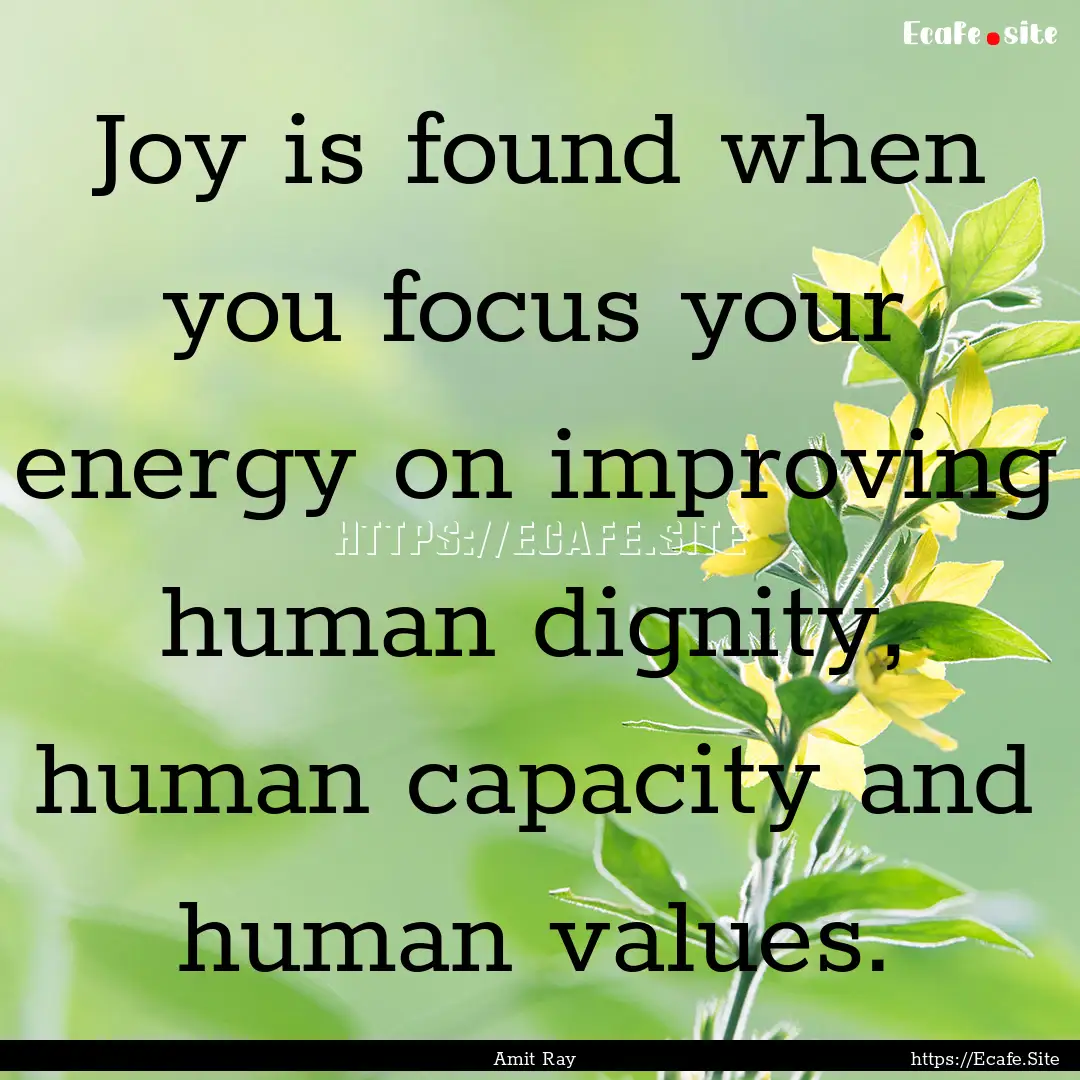 Joy is found when you focus your energy on.... : Quote by Amit Ray