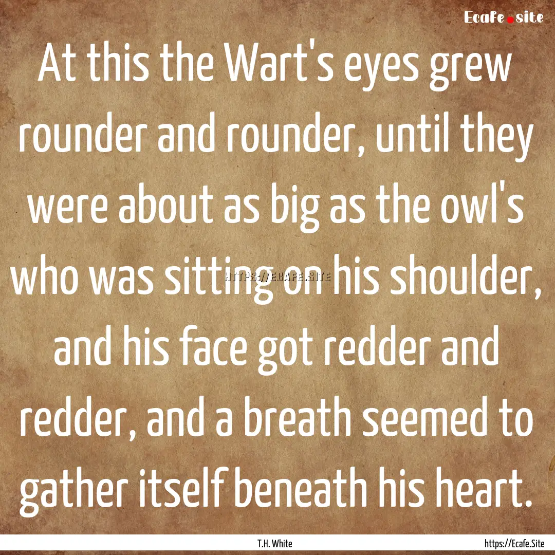 At this the Wart's eyes grew rounder and.... : Quote by T.H. White