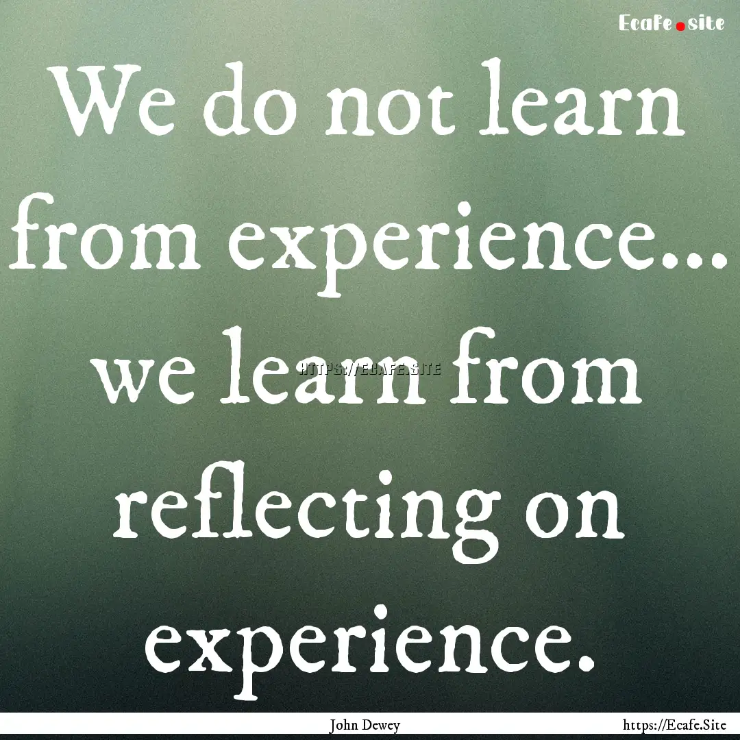 We do not learn from experience... we learn.... : Quote by John Dewey