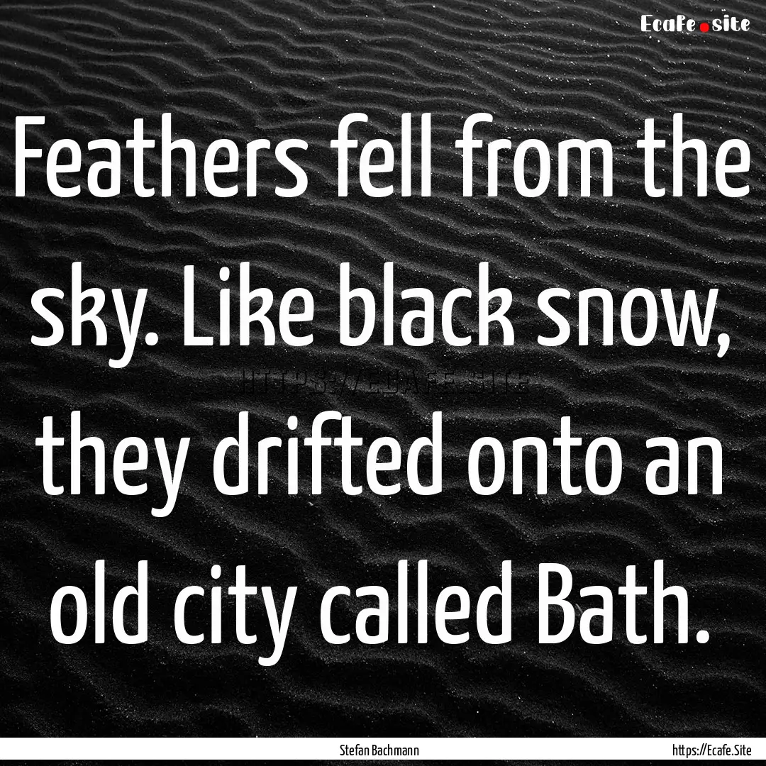 Feathers fell from the sky. Like black snow,.... : Quote by Stefan Bachmann