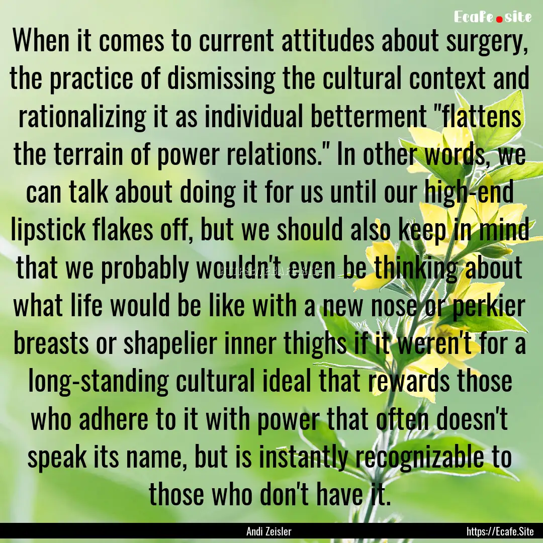 When it comes to current attitudes about.... : Quote by Andi Zeisler